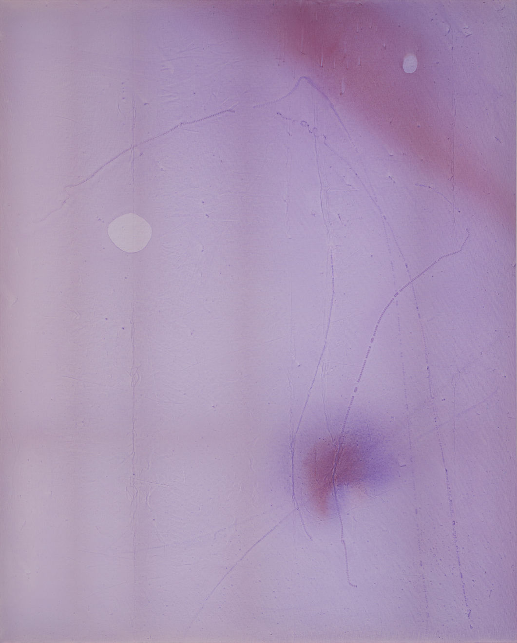 Guo-Liang Tan, Untitled (Pearls), 2023