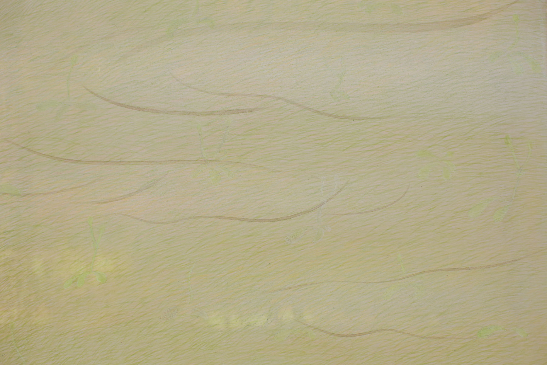 Tomoko Kashiki, Counting the Numbers of Forgotten Things, 2020