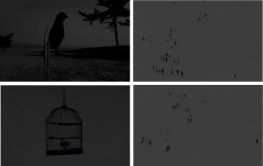 Hiraki Sawa, out of the blue, 2008