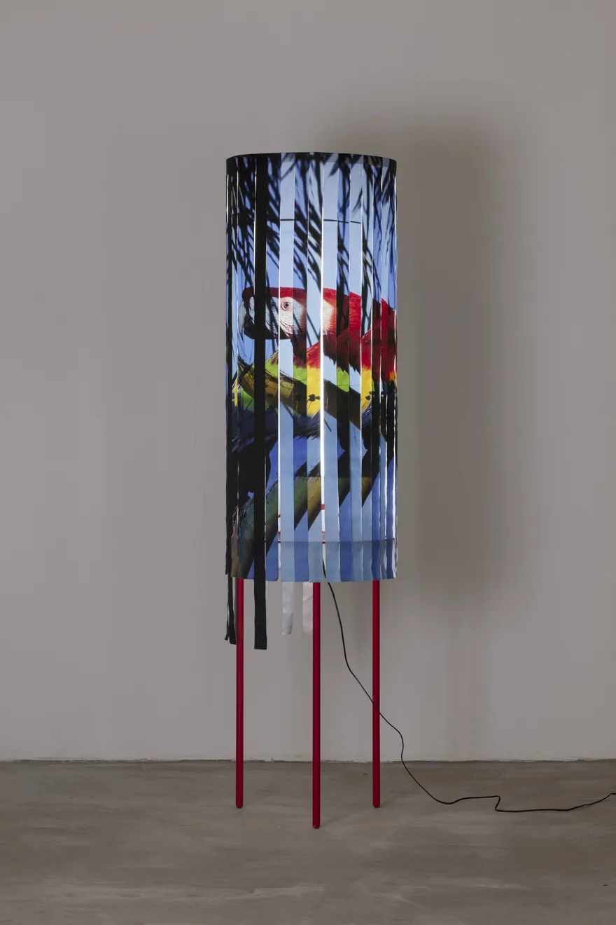 Nabuqi, Peeper No.1, 2021