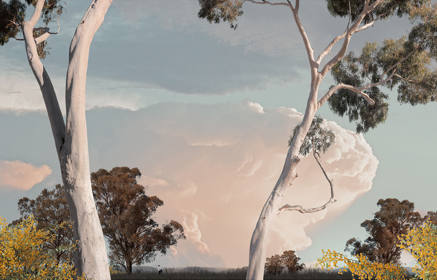 Lindsay Blamey, Romae II