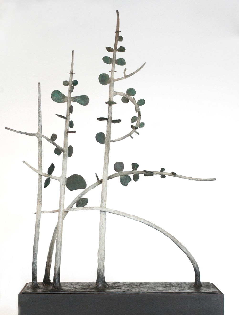 Zoe Amor, Red Box Bush