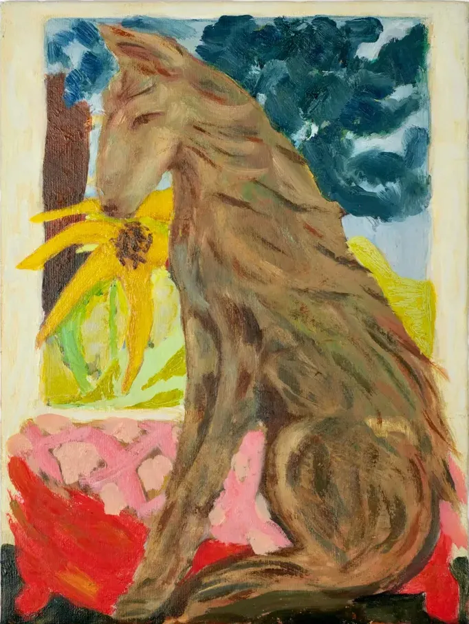 Chica Seal, He Became a Twitcher