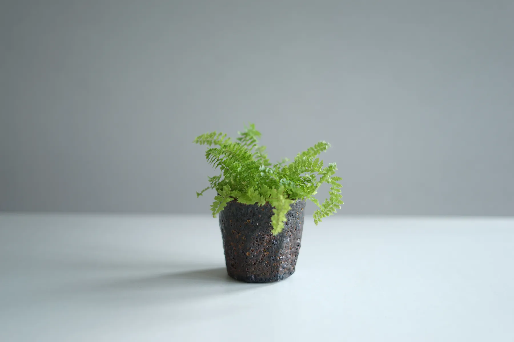 Hans Vangsø, Black Beaker