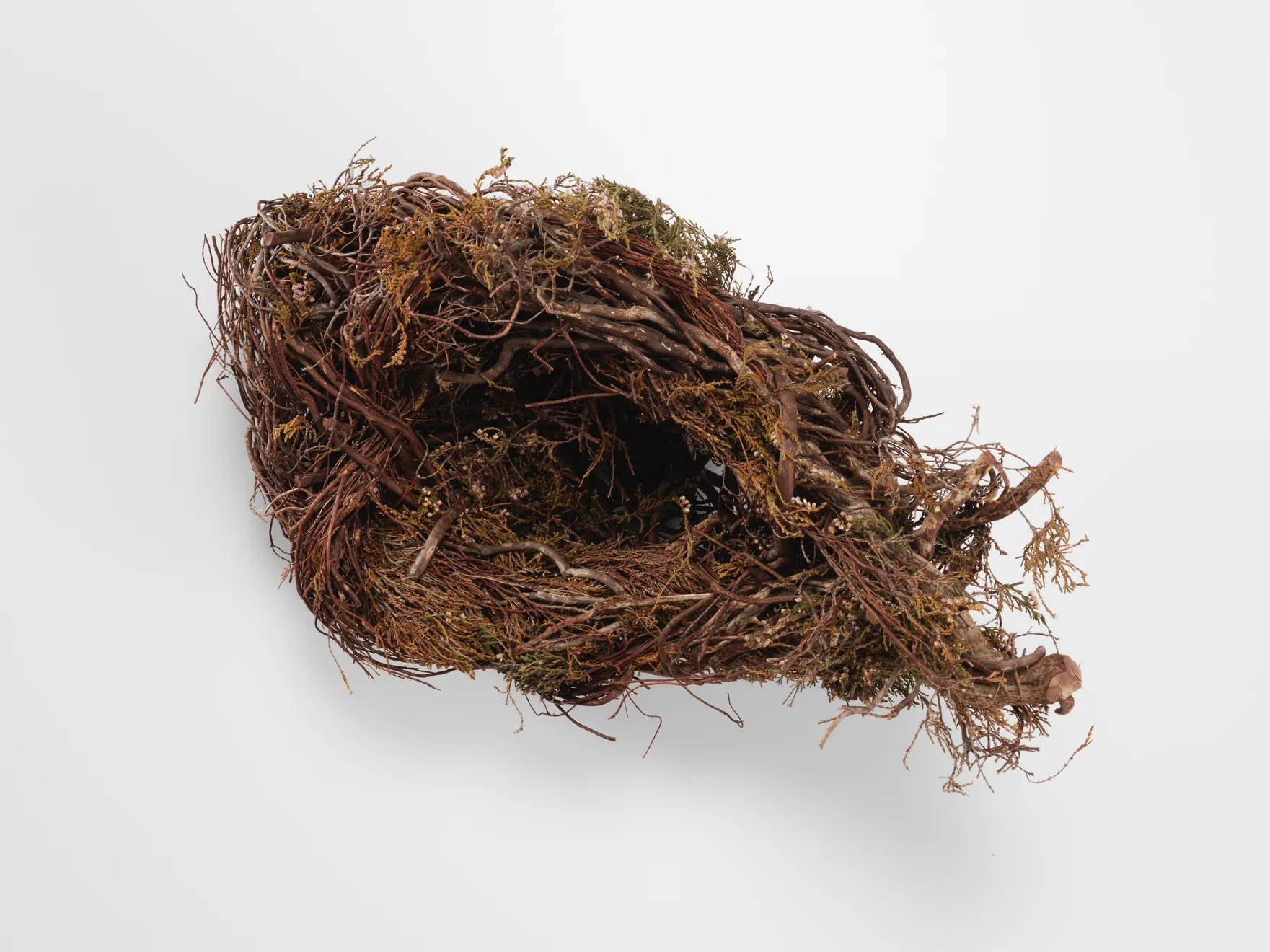 Joe Hogan, Outsize nest no.3