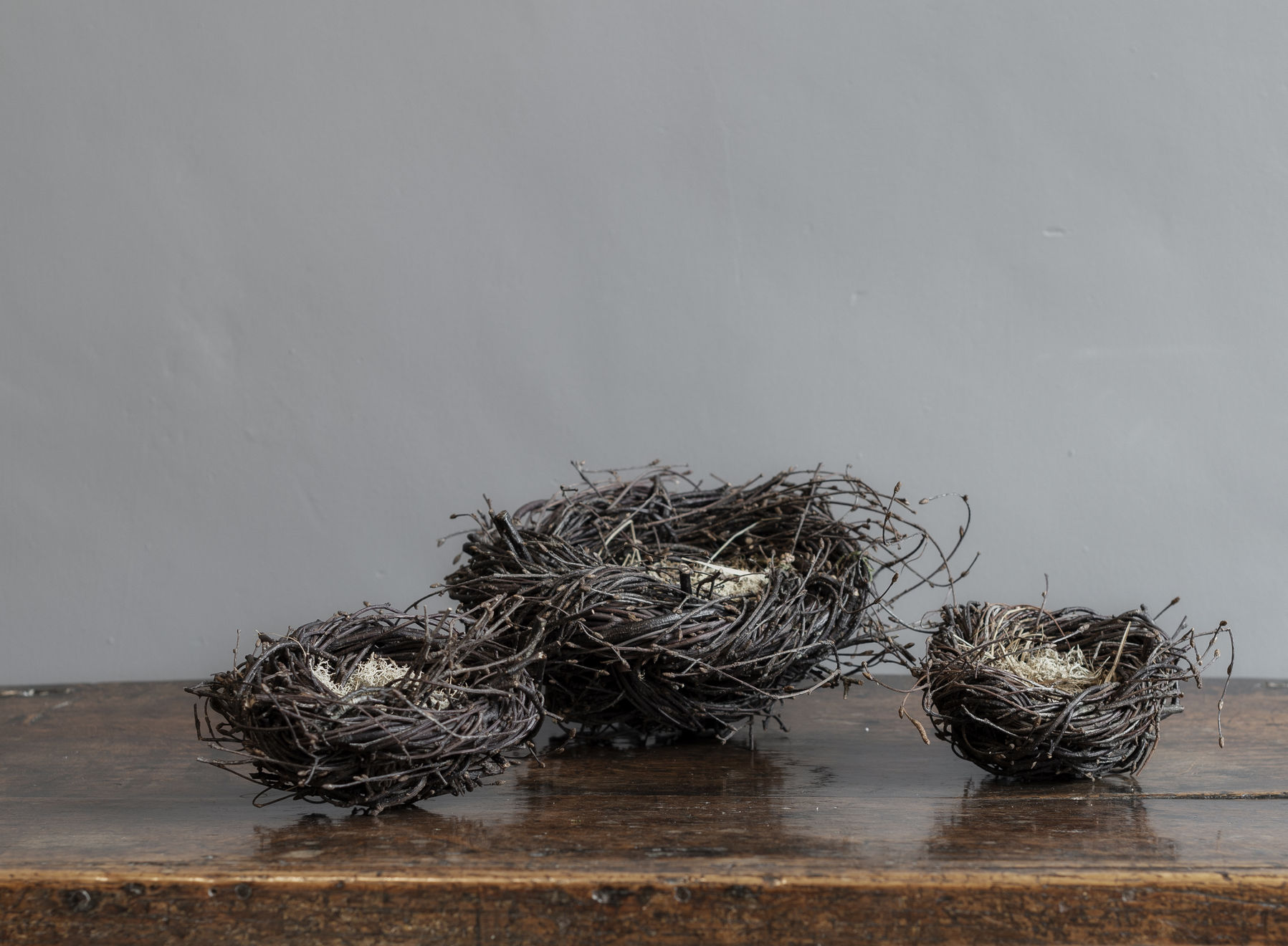 Joe Hogan, Small Birch Twig Nest