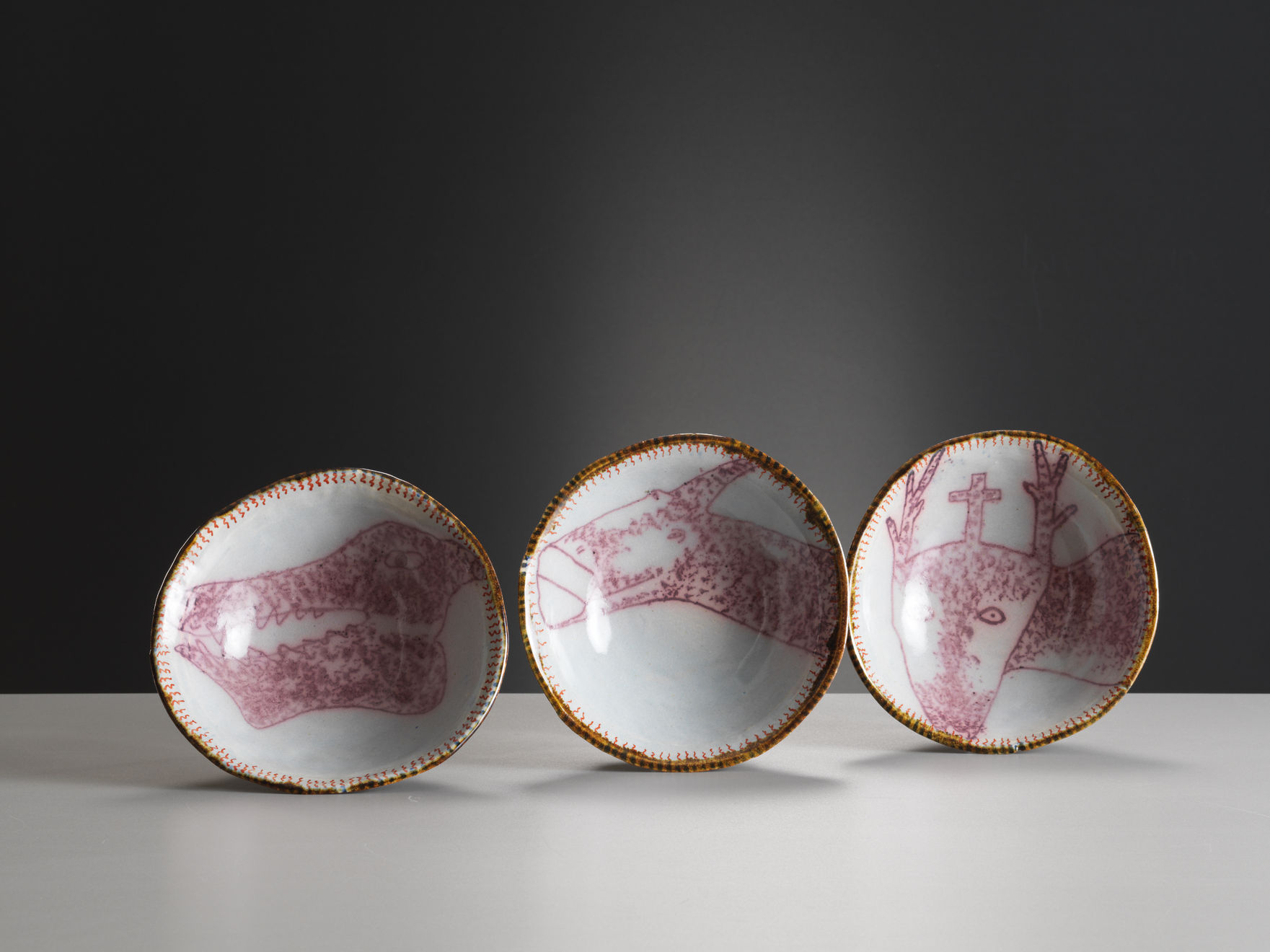 Hylton Nel, Blush (dog)