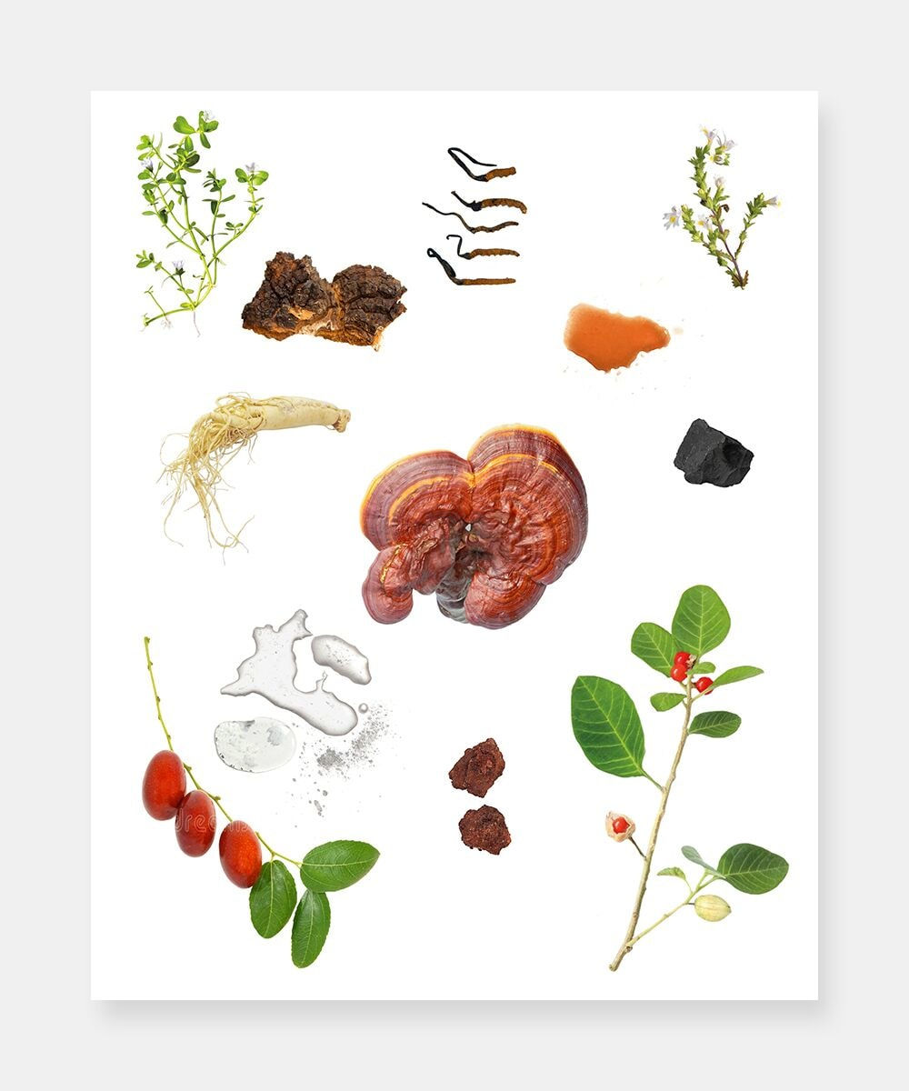 Joshua Citarella, All the Wellness Products Americans Love to Buy are Sold on Both Info Wars and Goop, 2018