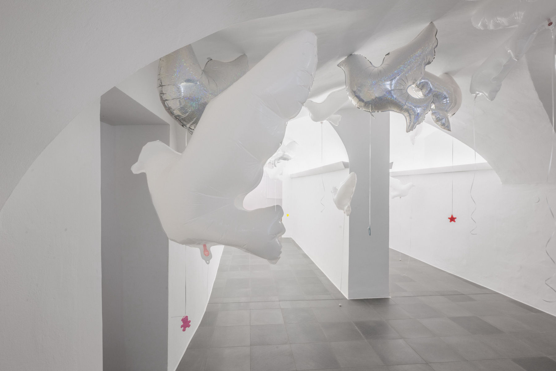 Anouk Lamm Anouk, God’s Favourite N°2