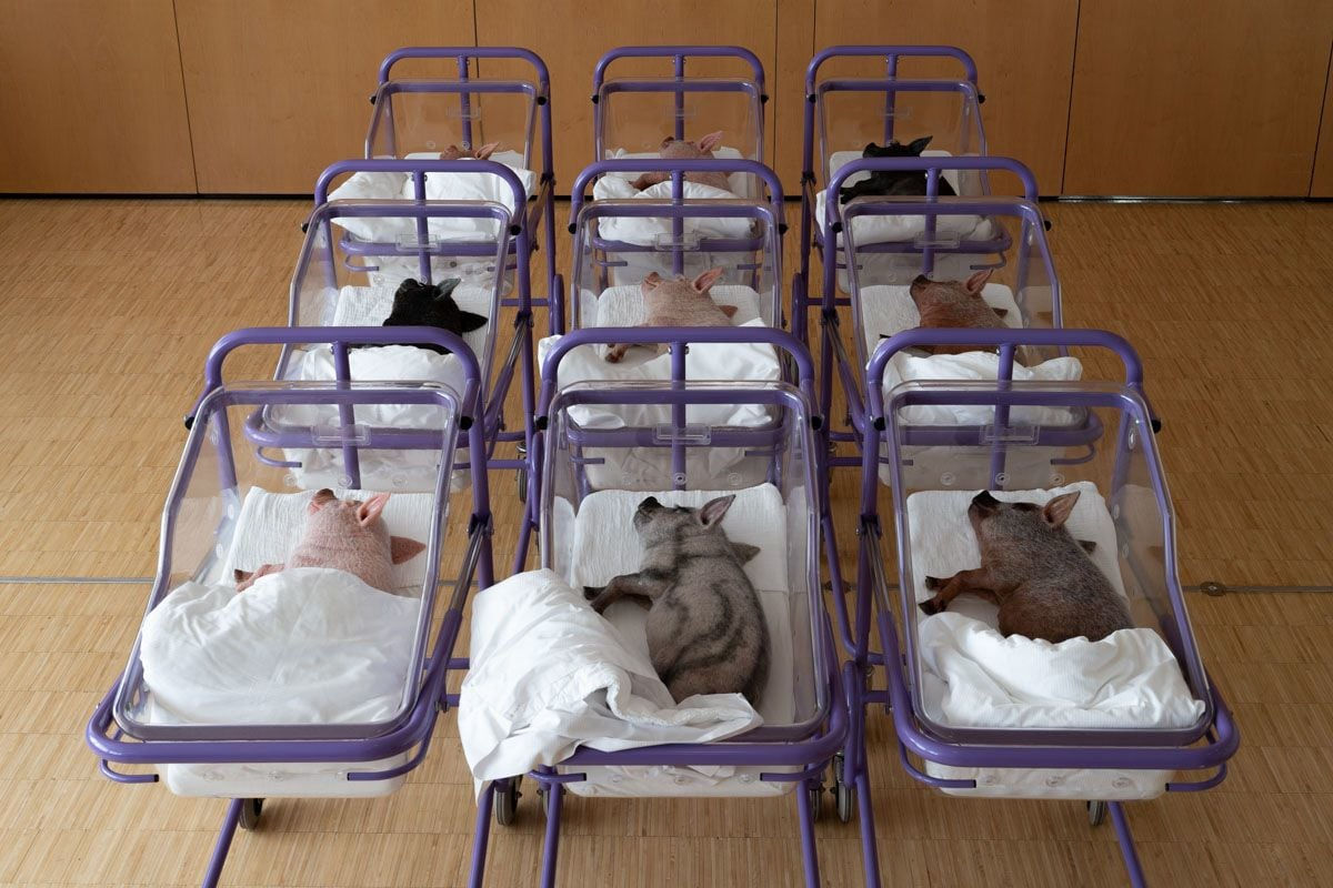 Anouk Lamm Anouk, MOTHER N°1