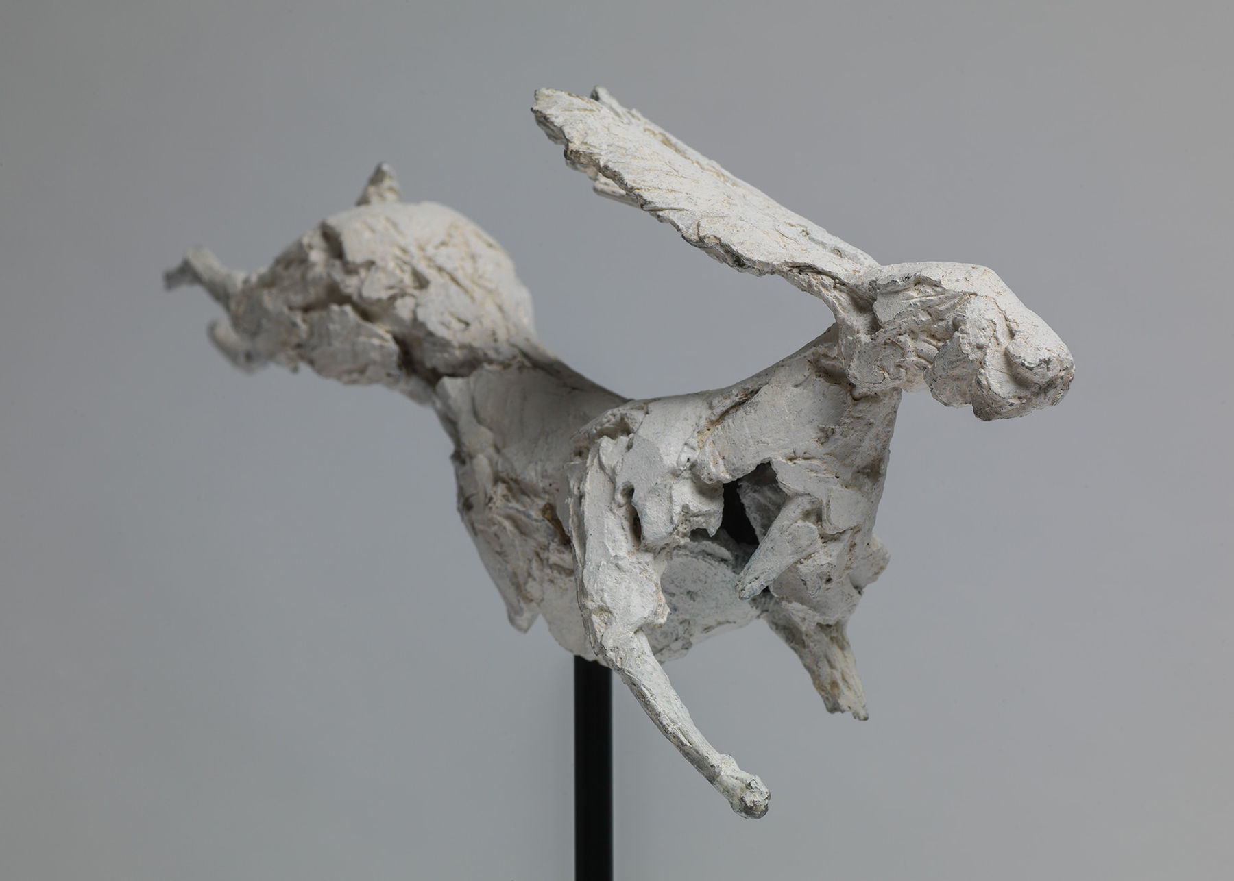 Joseph Paxton, Haven, 2019