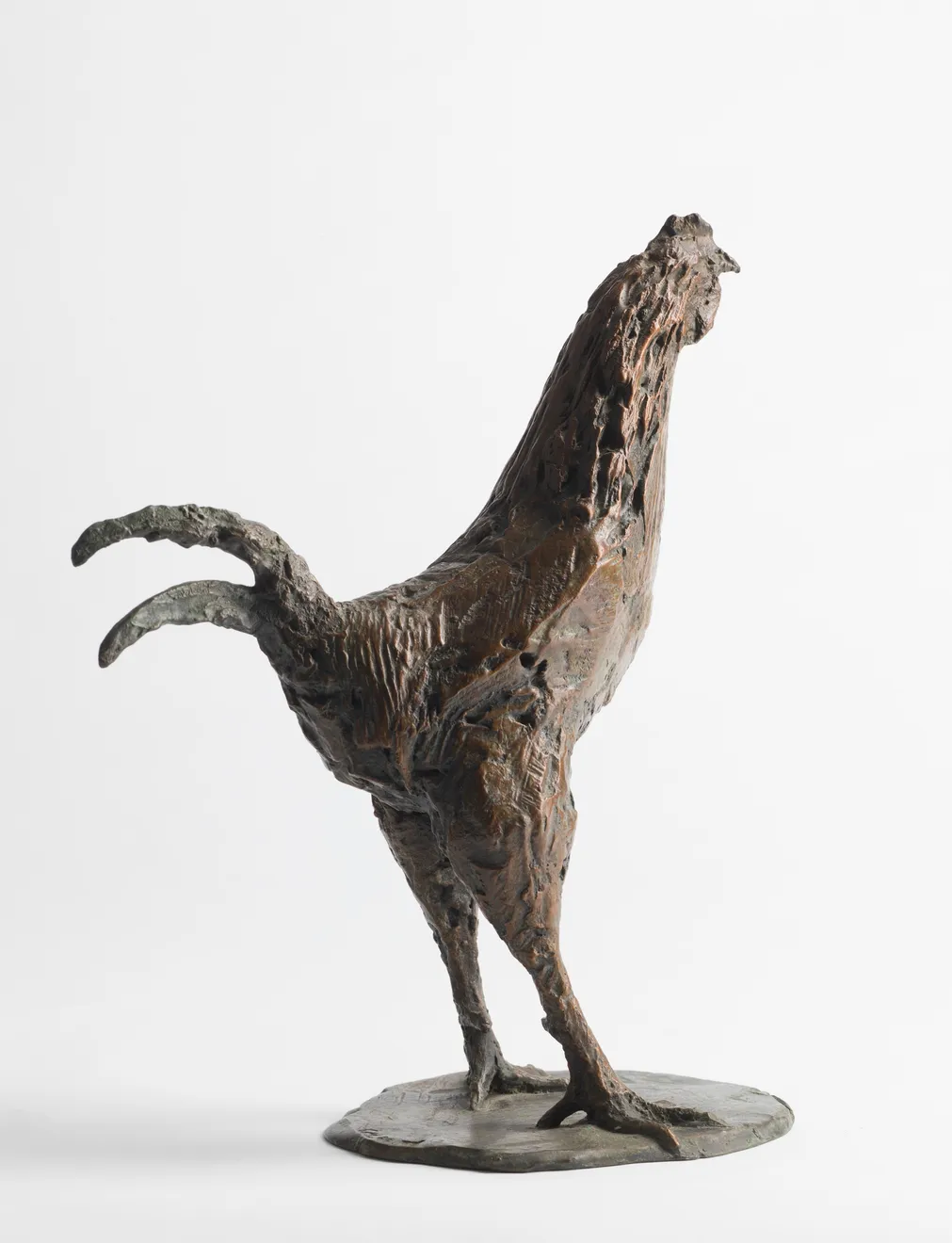 Charlotte Mayer, Cockerel, c.1980