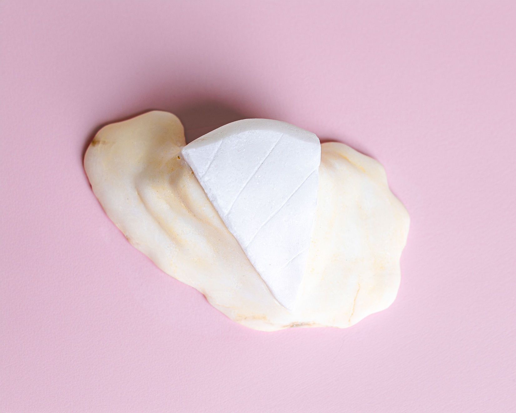 Roya Bahram, Brie (left out in the sun), 2023