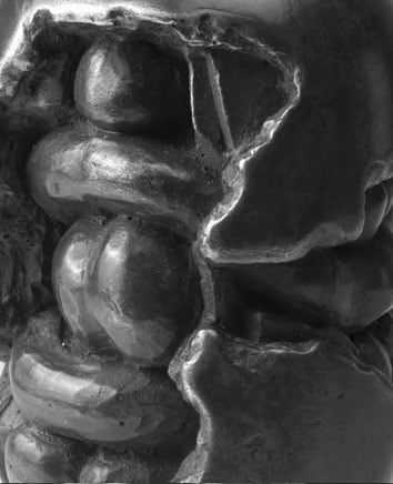 Steve Hurst, Geometric Organic, 2008