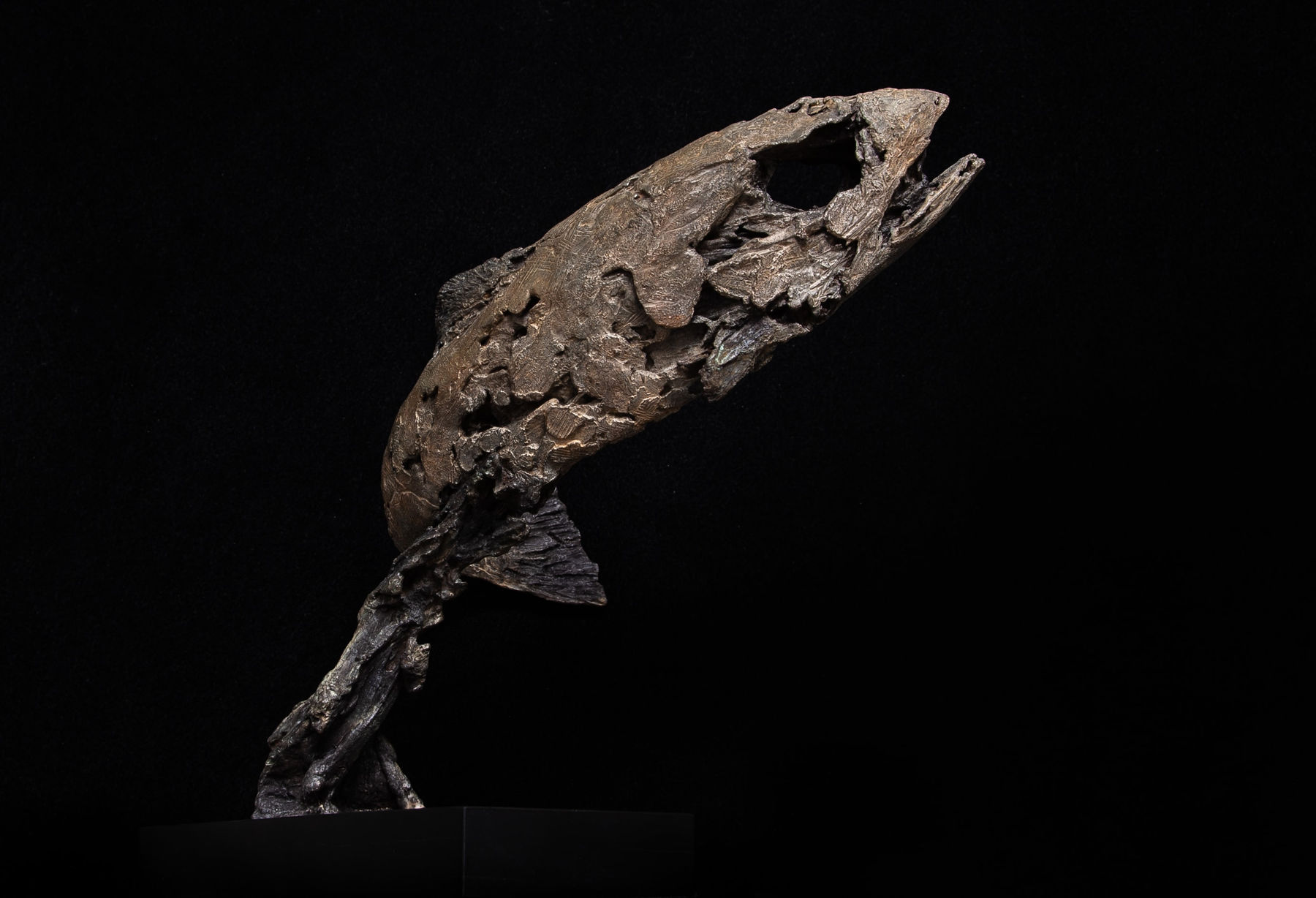 Joseph Paxton, Eocene, 2011