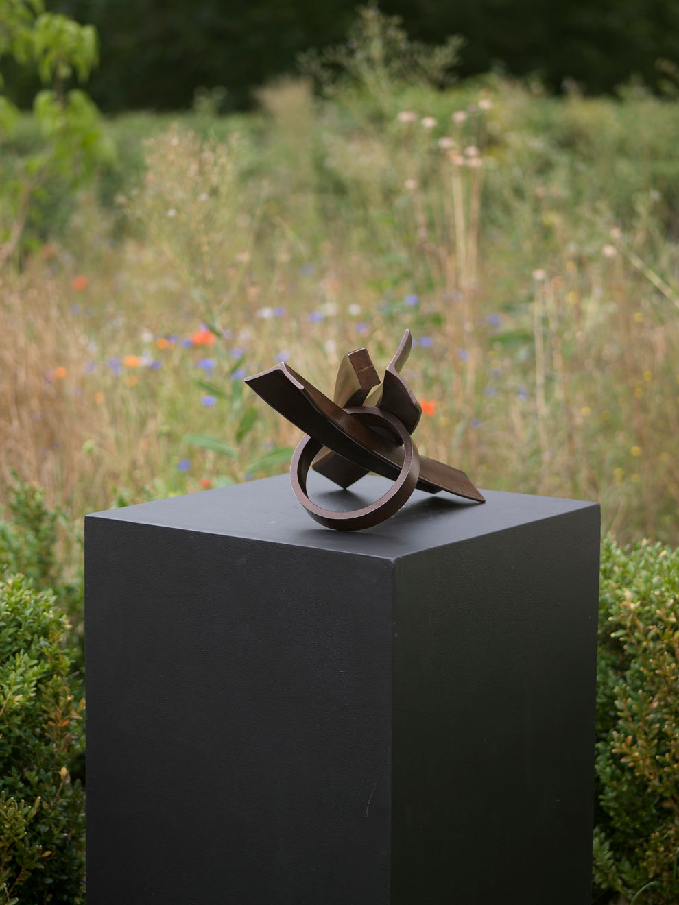 Robert Jones, Organelle 4, 2023