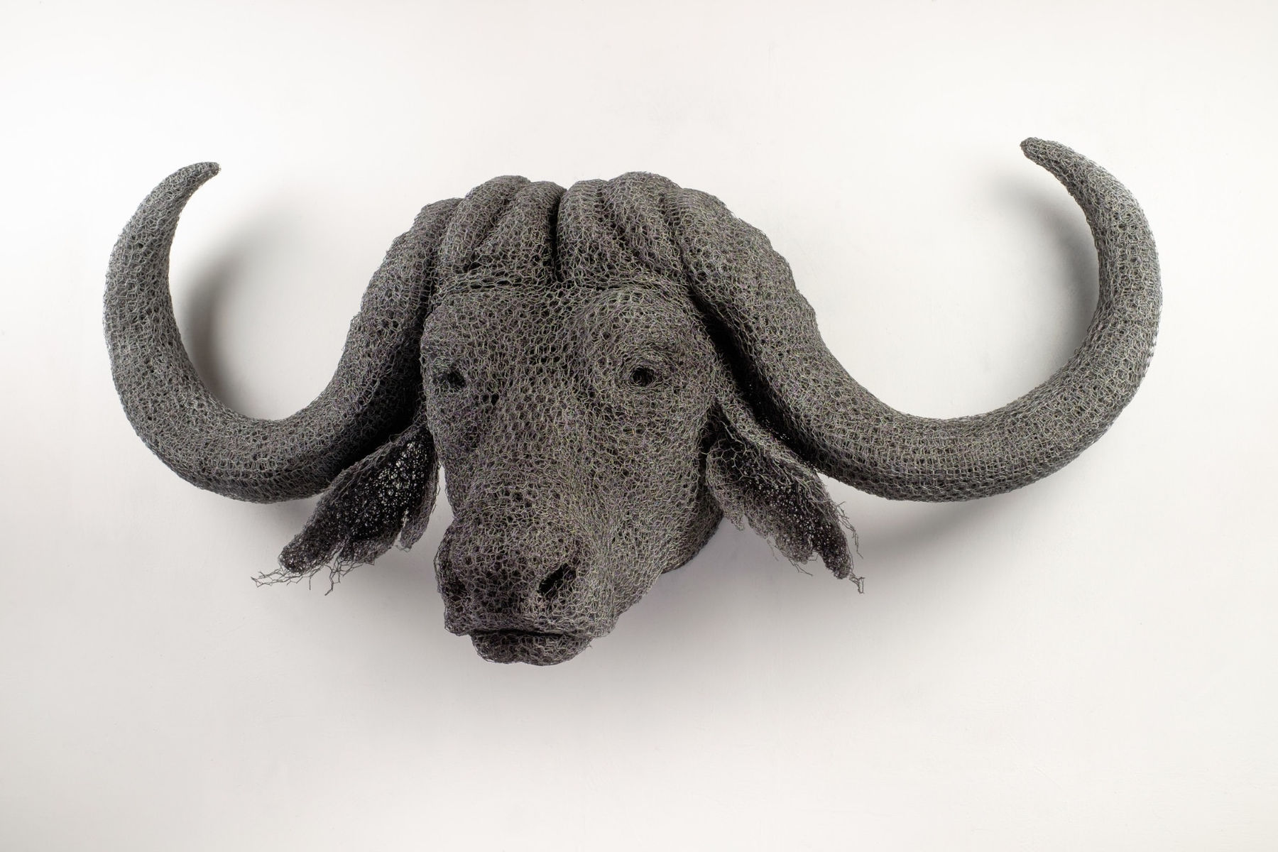 Kendra Haste MRSS, African Buffalo Head, 2018