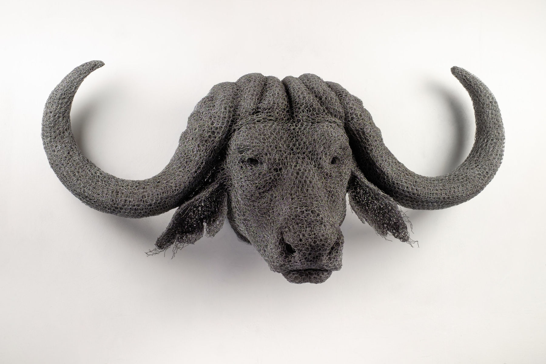 Kendra Haste MRSS, African Buffalo Head, 2018
