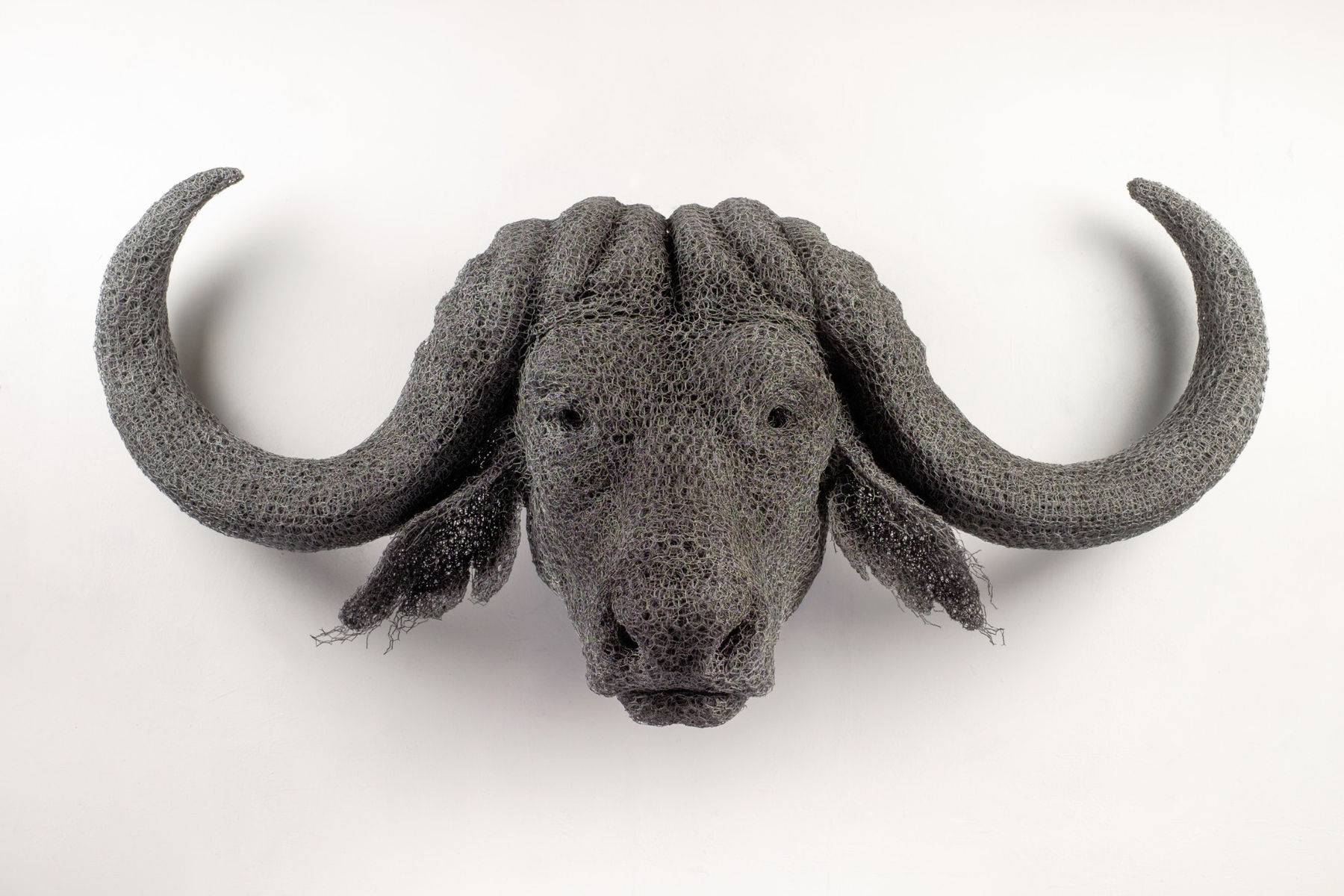 Kendra Haste MRSS, African Buffalo Head, 2018