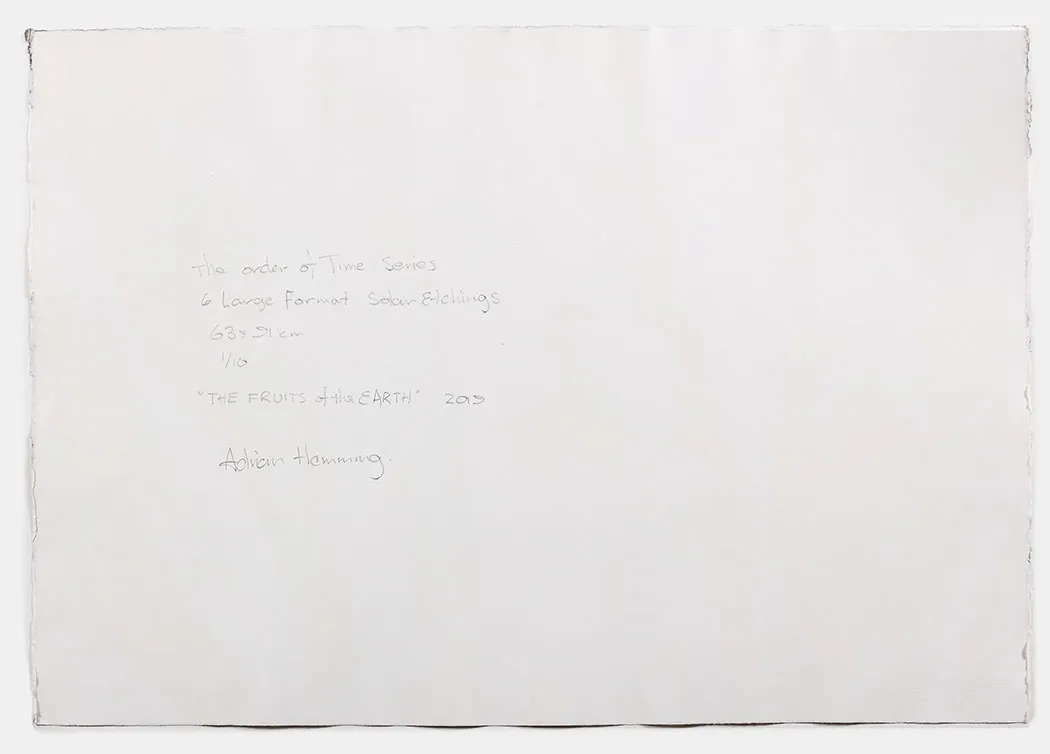 Adrian Hemming, Fruits of the Earth, 2019