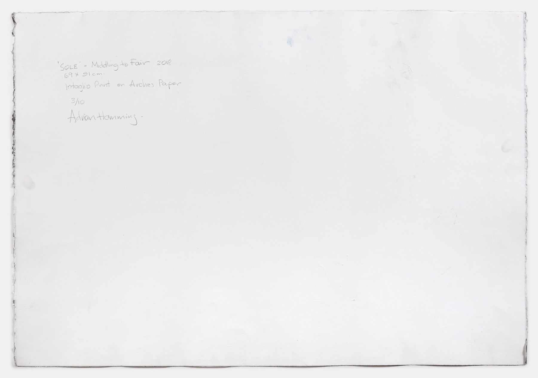 Adrian Hemming, Sole, Middling to Fair, 2018