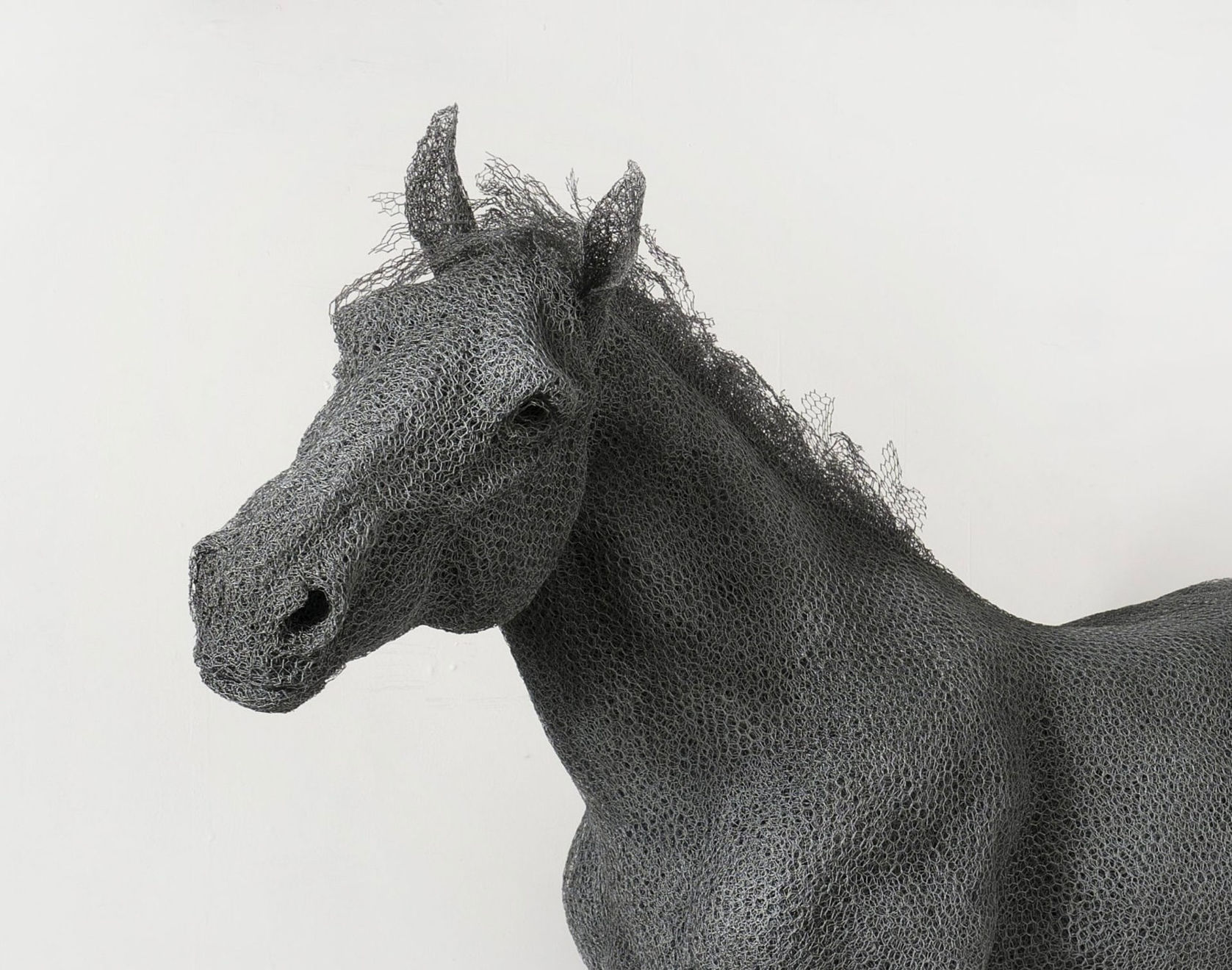 Kendra Haste MRSS, Wild Mustang, 2021