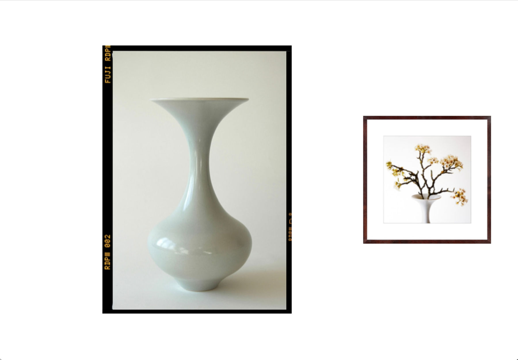 Vivienne Foley (Photography), Pear Blossom in Classic Blue Ice Vase, 2008