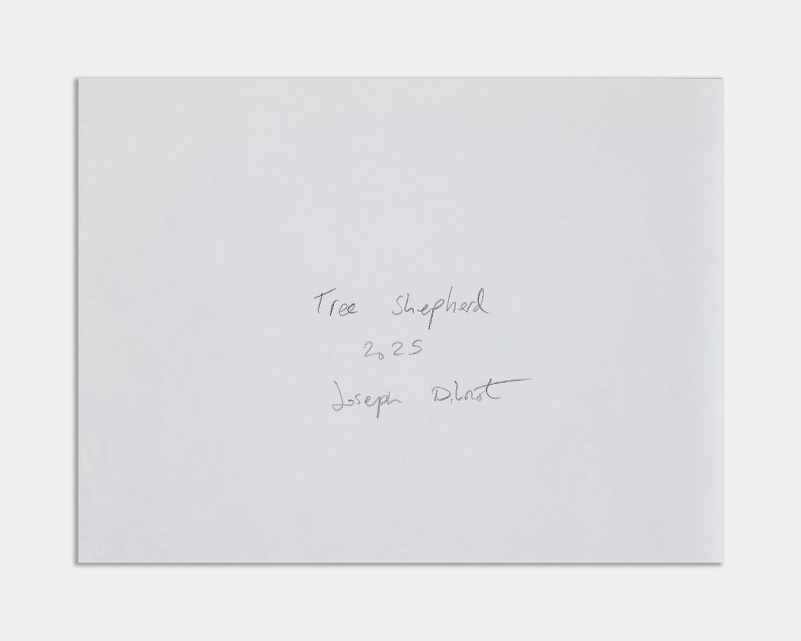 Joseph Dilnot, Tree Shepherd, 2025