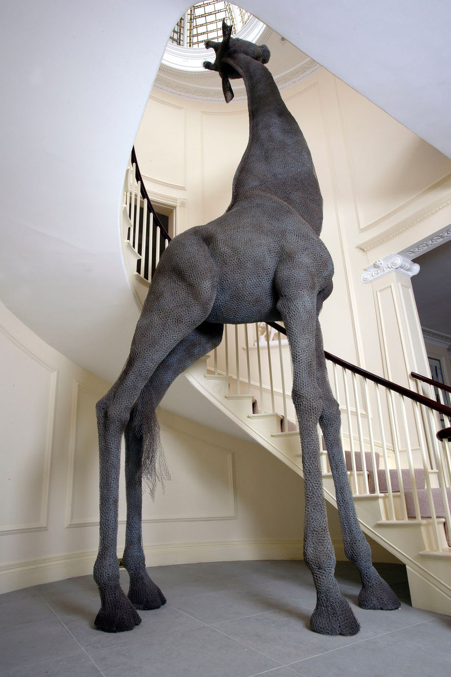 Kendra Haste MRSS, Giraffe, 2004