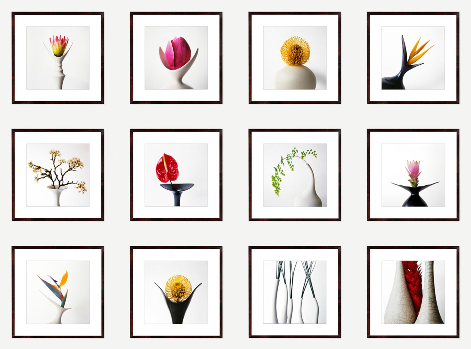 Vivienne Foley (Photography), Magnolia in Ivory Forked Vase, 2000