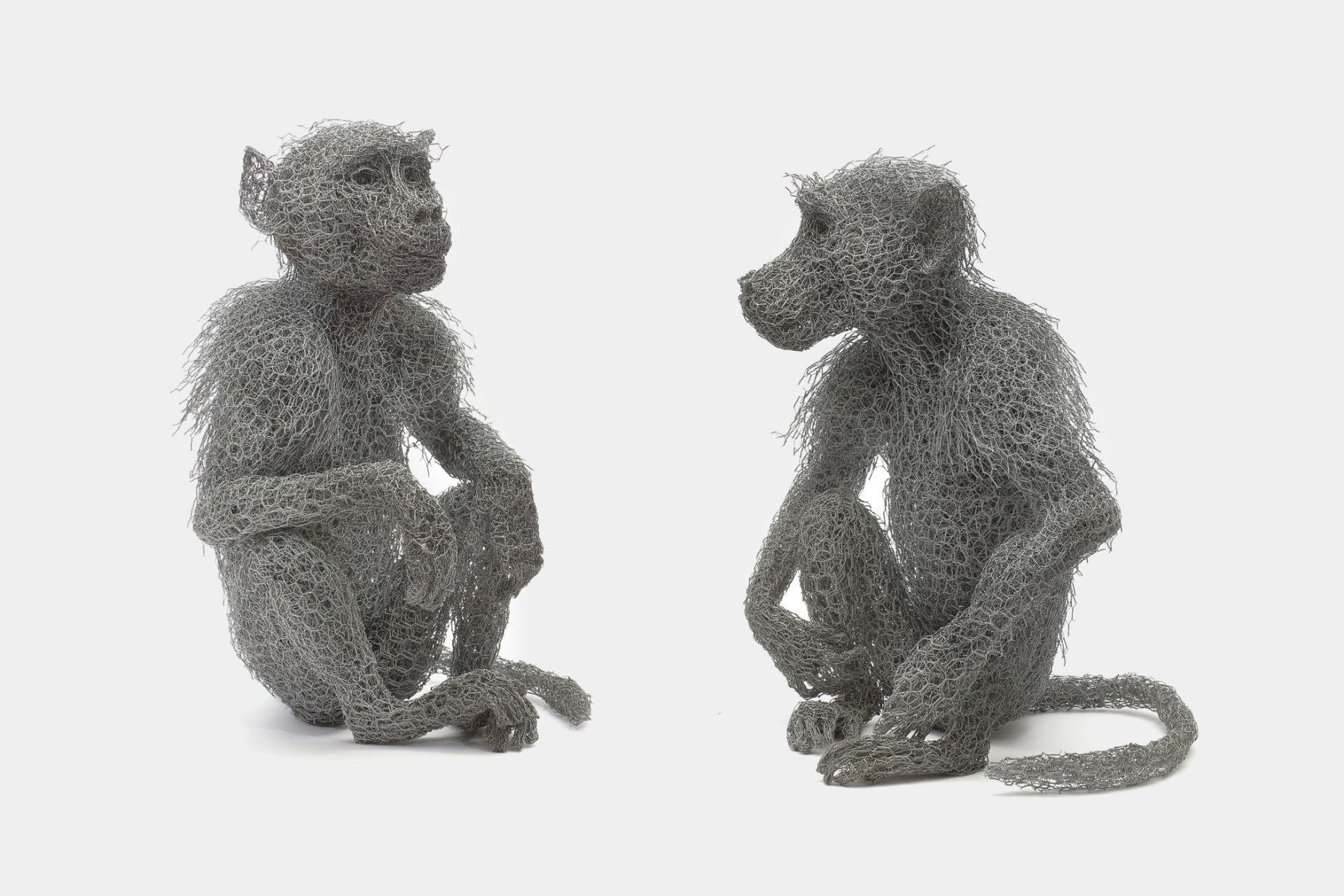 Kendra Haste MRSS, Young Baboon, 2023