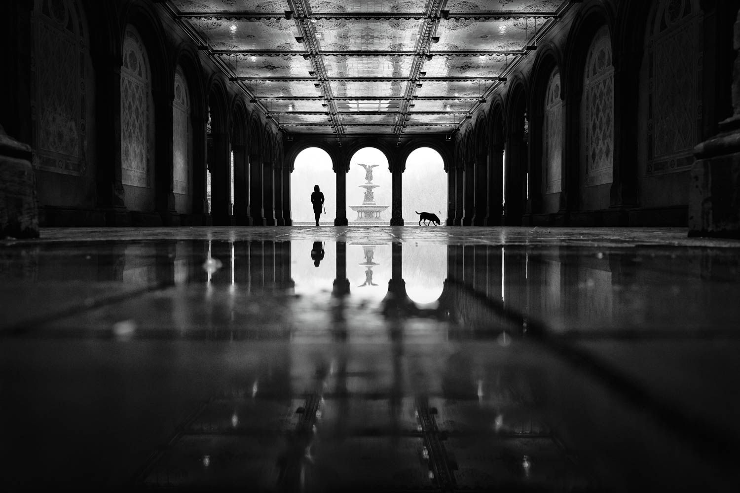 PHIL PENMAN, Central Park, New York, 2018