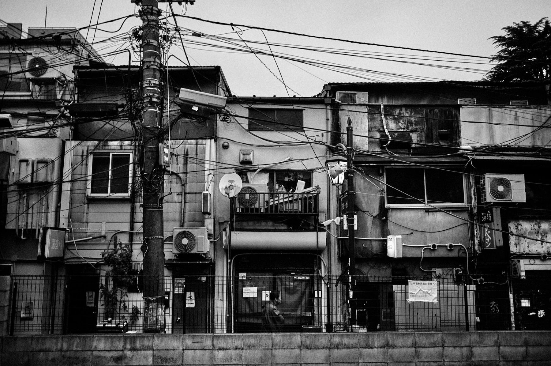 PHIL PENMAN, Tokyo Series 007, 2023