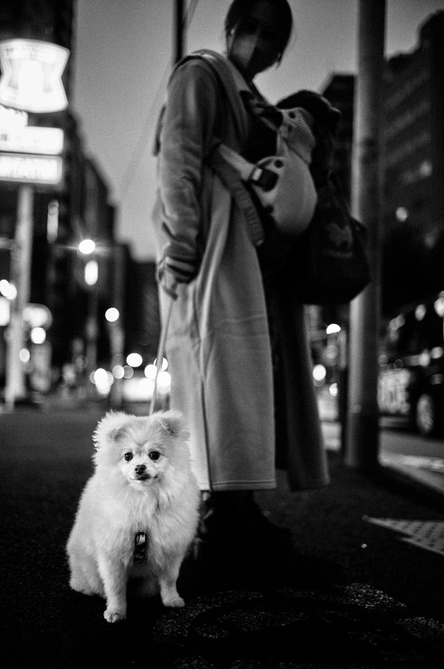 PHIL PENMAN, Tokyo Series 033, 2023