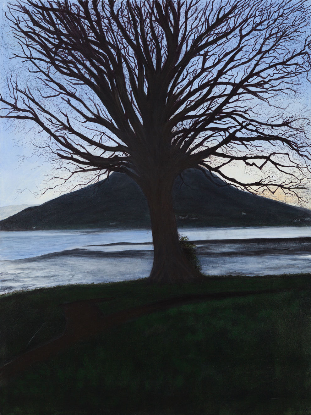 Timothy Spall, Bald Tree, Blue Loch Mountain Face Off, 2021