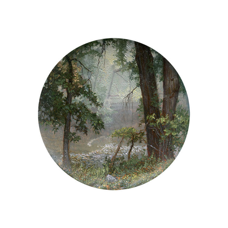 Dina Brodsky, Cycling Guide to Lilliput 61, 2017