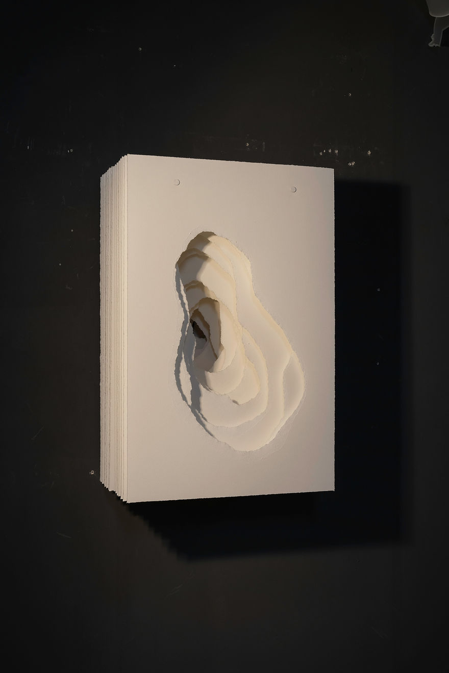 Angela Glajcar, Terforation 2023-019, 2023