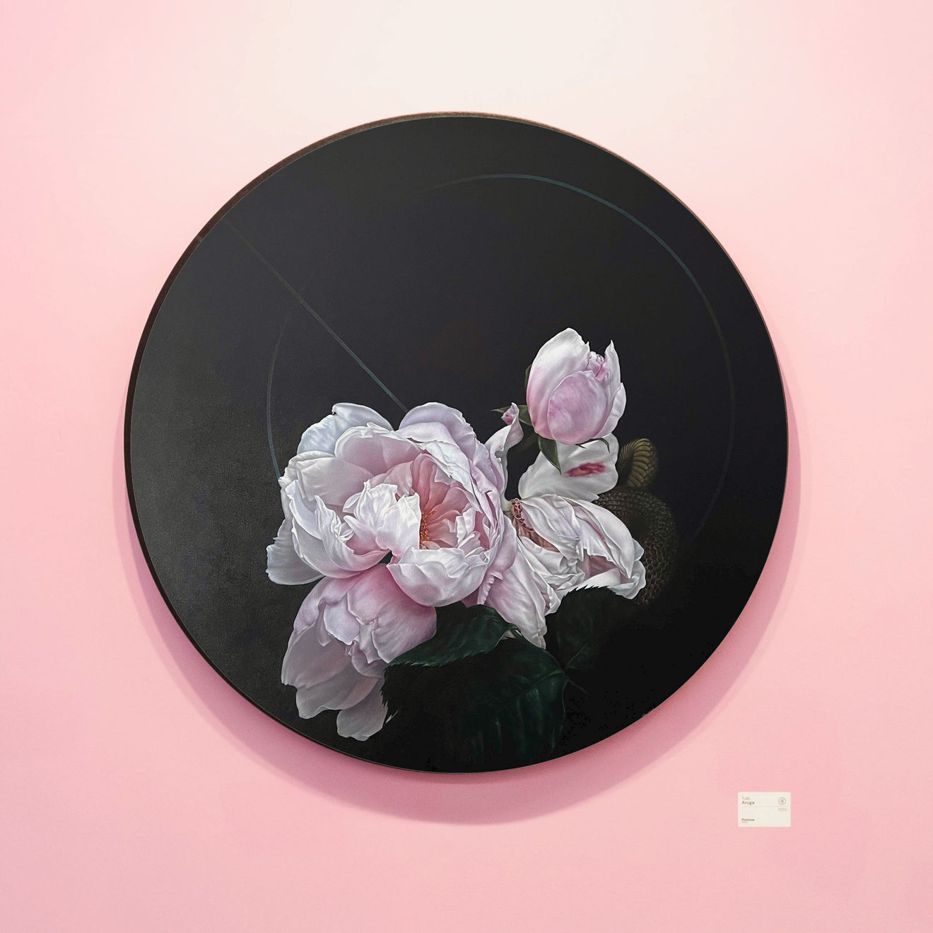 Yuki Aruga, Without End, 2023