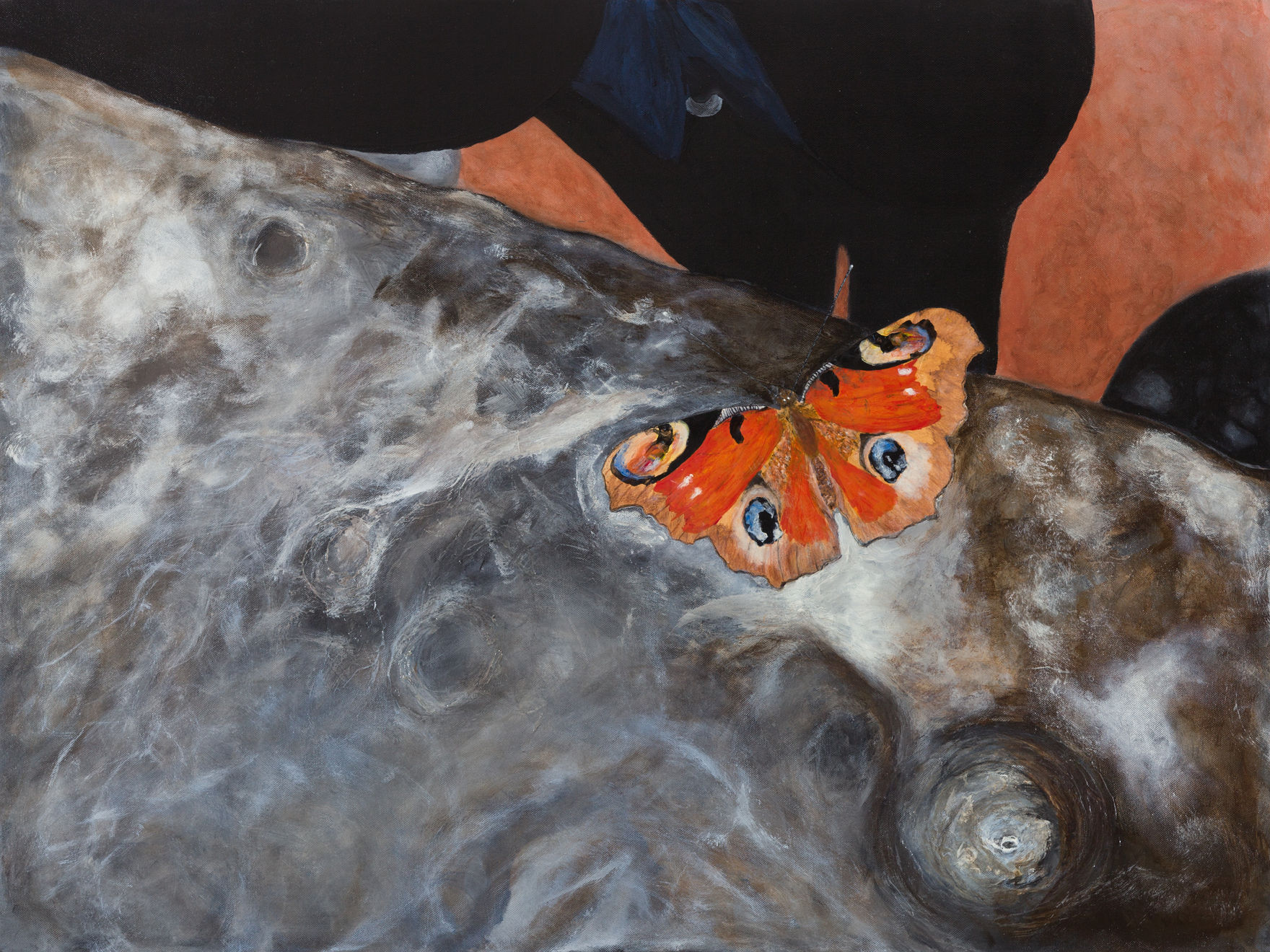 Timothy Spall, My Mum, Sylvia, Briefly Reincarnated as a Butterfly on a Church Windowsill as if on an Aerial Bombing WW2 Photo, 2021