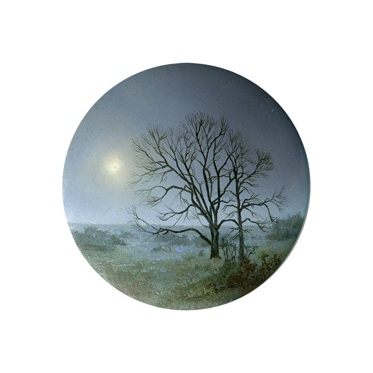 Dina Brodsky, Cycling Guide to Lilliput 80, 2017