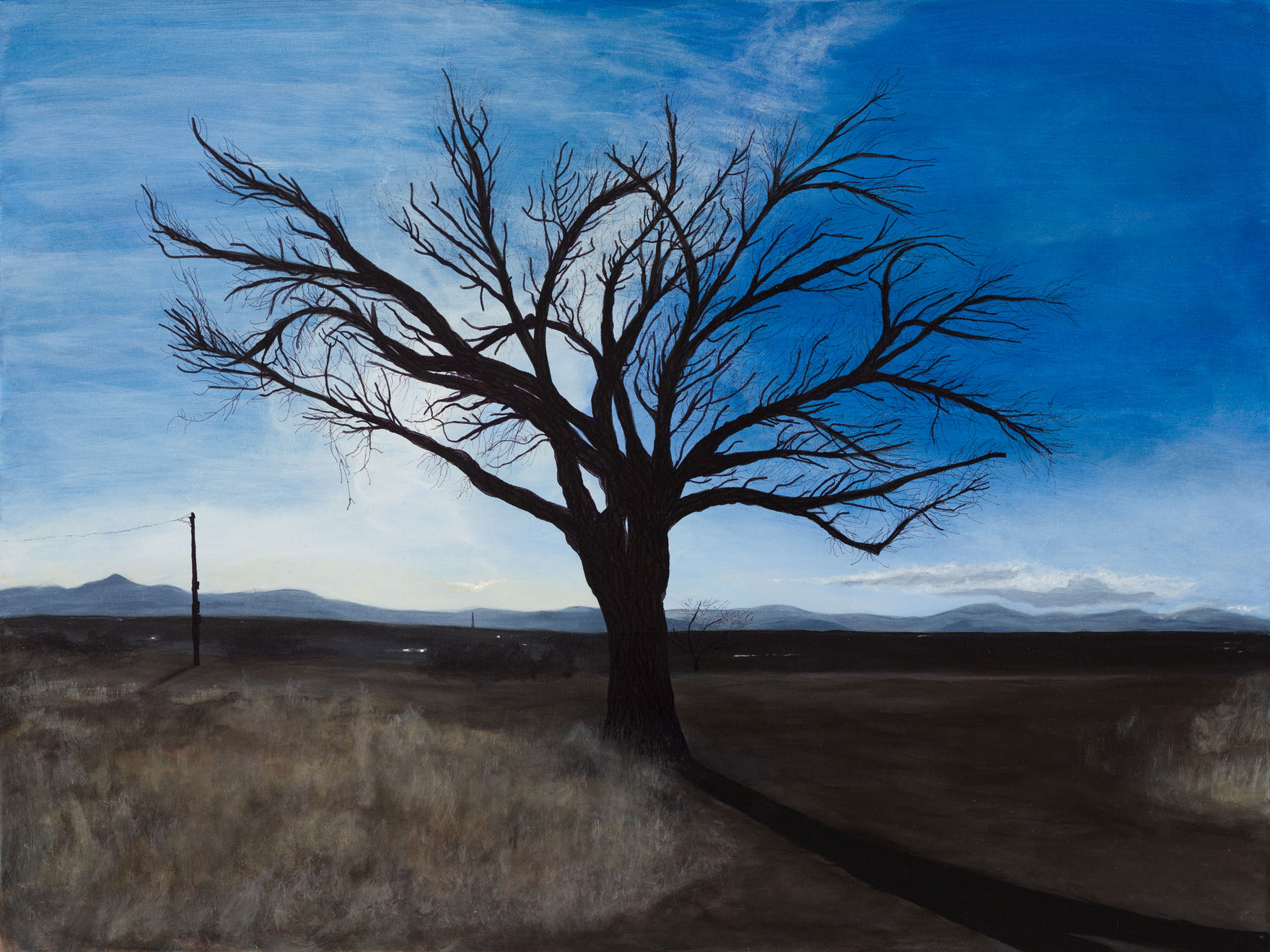 Timothy Spall, Naked Yearning, High Desert, 2021