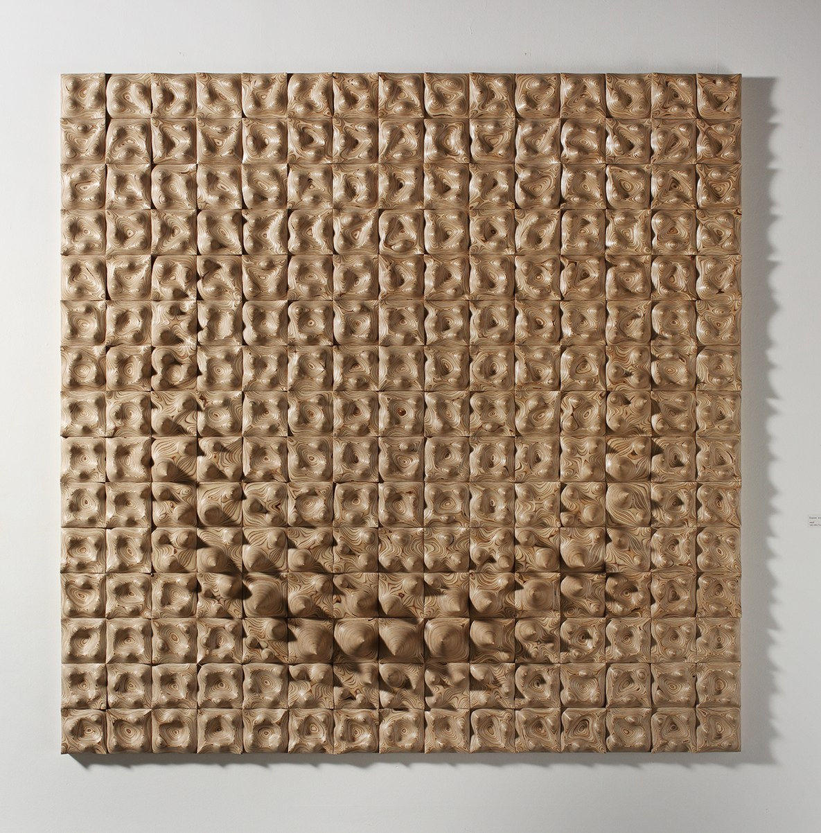 Cha Jongrye, Expose Exposed 131022, 2013