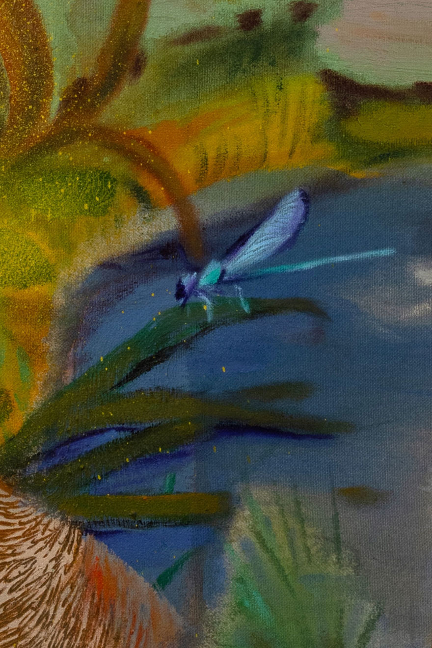 Kateřina Ondrušková, Wetlands, 2024