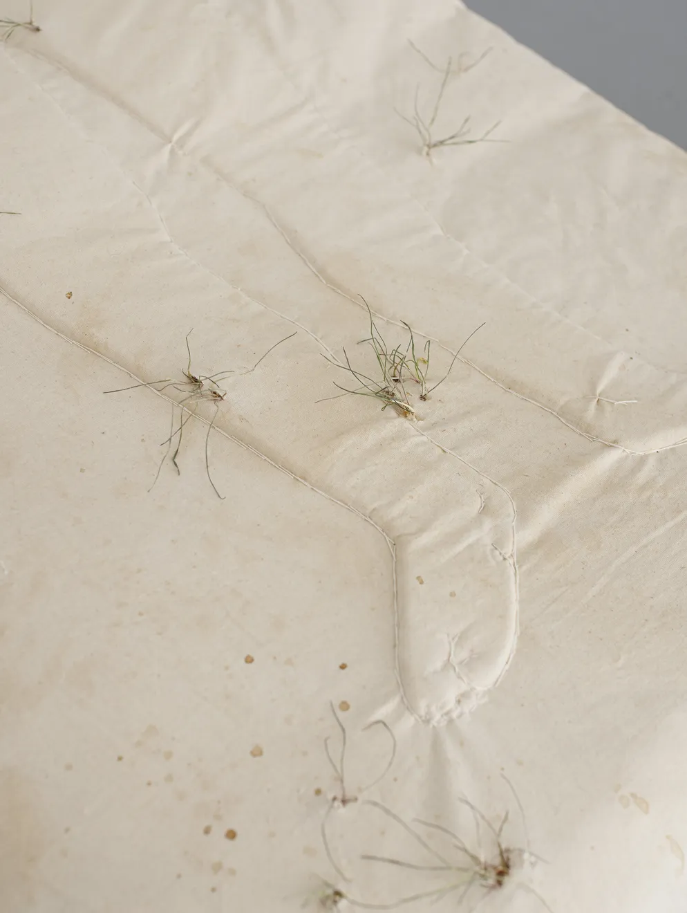 Luca Sára Rózsa, Earth, 2026