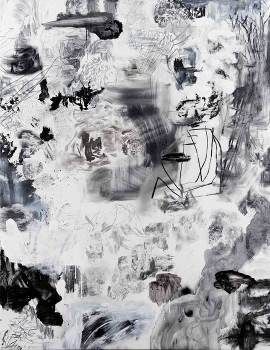 Eduardo Stupia, Landscape I, 2010