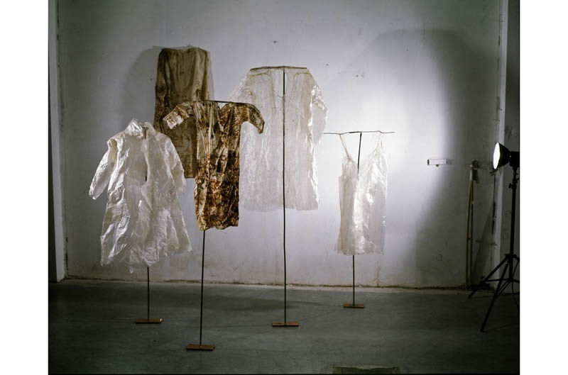 Silvia Hatzl, Traumbild, 2006