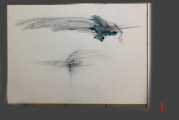 Lanfranco Quadrio, Bird wings, 2016