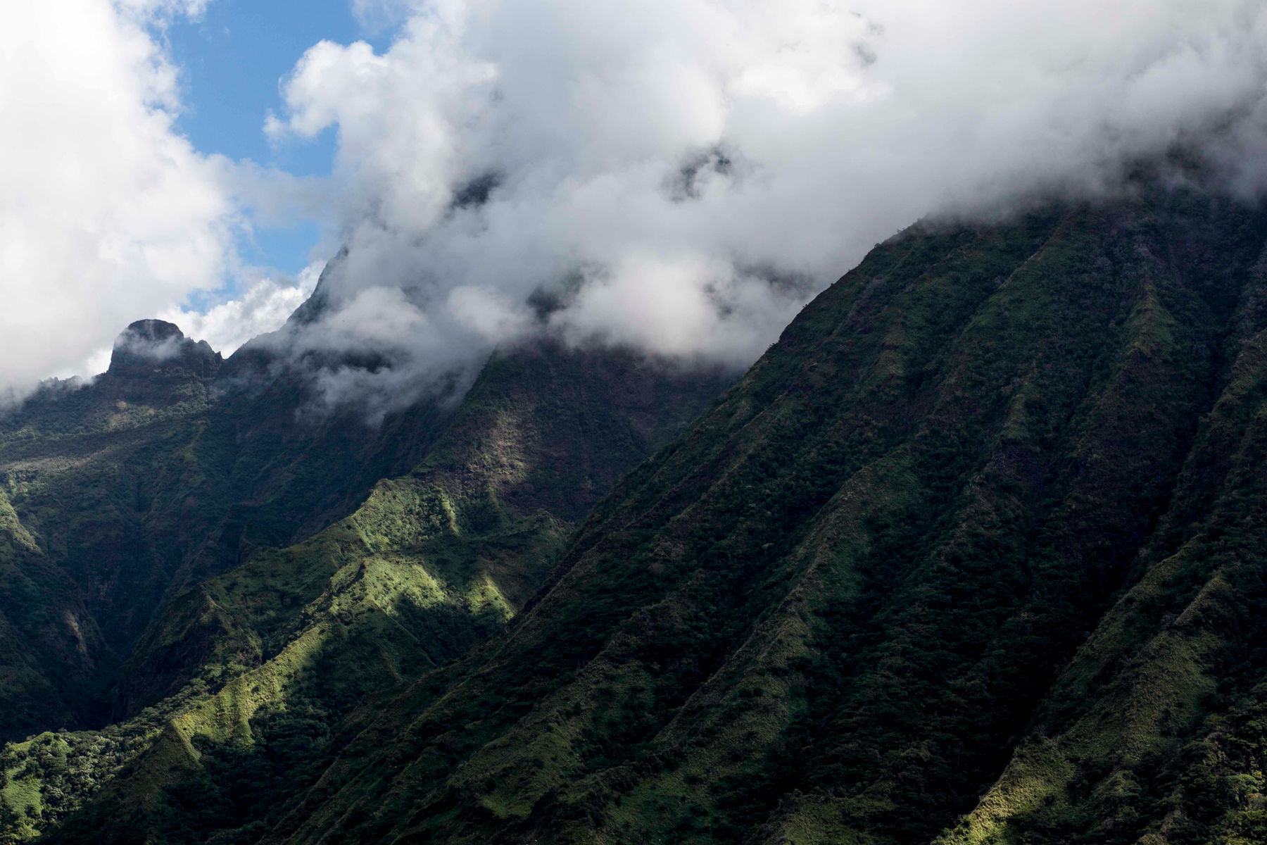 Ruben van Schalm, Serene