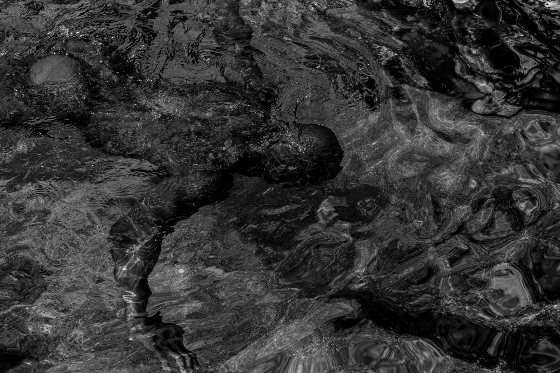 Ruben van Schalm, Hold Your Breath