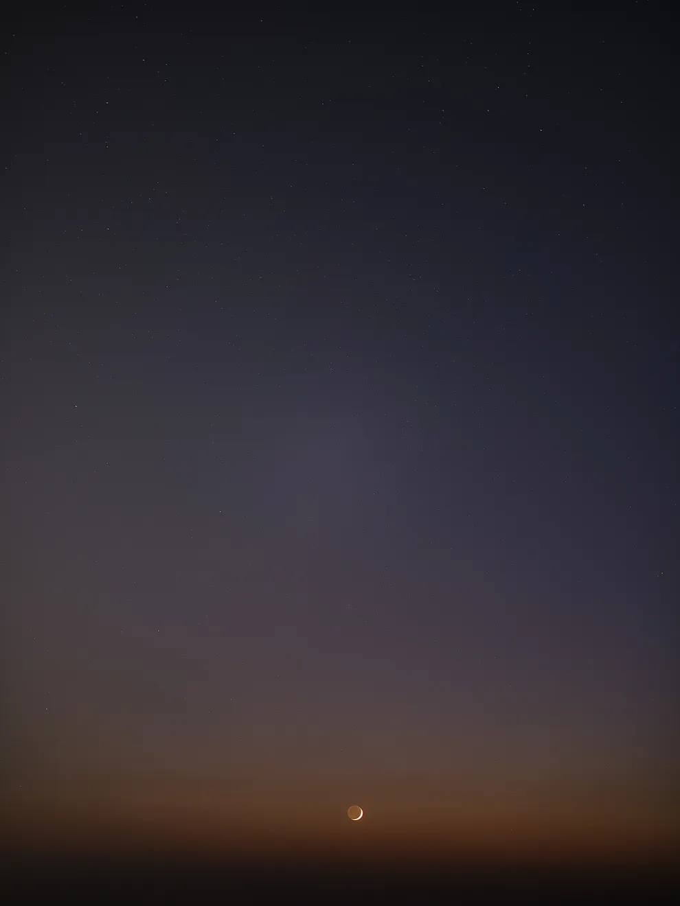 Ruben van Schalm, Untitled